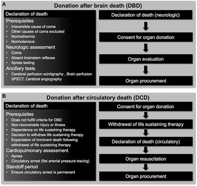 Transplantation of Hearts Donated after Circulatory Death